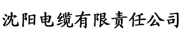 日韩精品综合在线人妻电缆厂logo